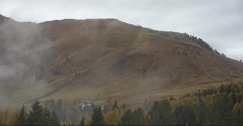 Webcam Bellamonte-Alpe Lusia  - Pista direttissima Le Cune