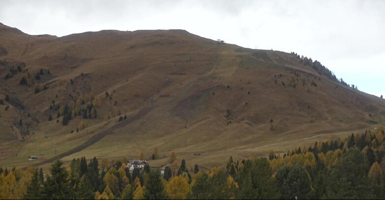 Webcam Bellamonte-Alpe Lusia  - Pista direttissima Le Cune