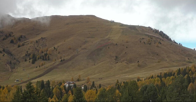 Webcam Bellamonte-Alpe Lusia  - Pista direttissima Le Cune
