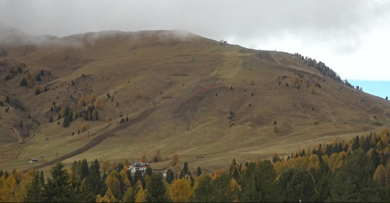 Webcam Bellamonte-Alpe Lusia  - Pista direttissima Le Cune