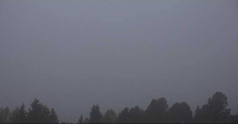 Webcam Bellamonte-Alpe Lusia  - Pista direttissima Le Cune