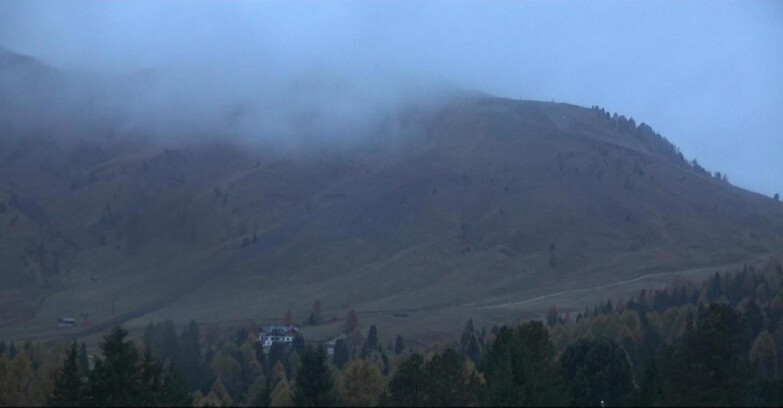 Webcam Bellamonte-Alpe Lusia  - Pista direttissima Le Cune