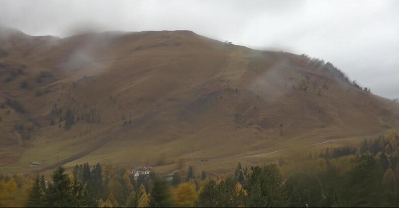 Webcam Bellamonte-Alpe Lusia  - Pista direttissima Le Cune