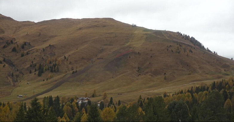 Webcam Bellamonte-Alpe Lusia  - Pista direttissima Le Cune