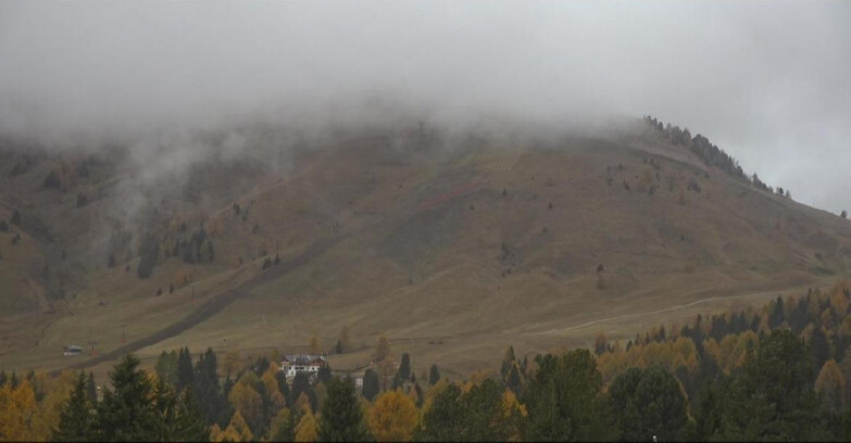 Webcam Белламонте-Альпе-Лусиа  - Pista direttissima Le Cune