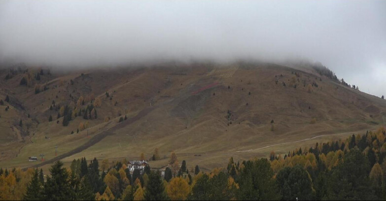 Webcam Bellamonte-Alpe Lusia  - Pista direttissima Le Cune