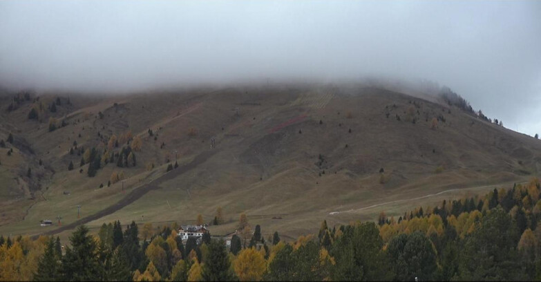 Webcam Bellamonte-Alpe Lusia  - Pista direttissima Le Cune