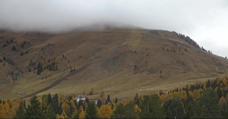 Webcam Bellamonte-Alpe Lusia  - Pista direttissima Le Cune