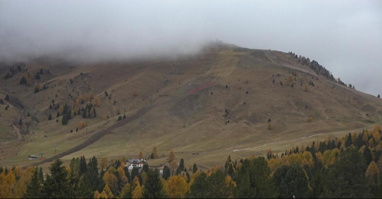 Webcam Bellamonte-Alpe Lusia  - Pista direttissima Le Cune