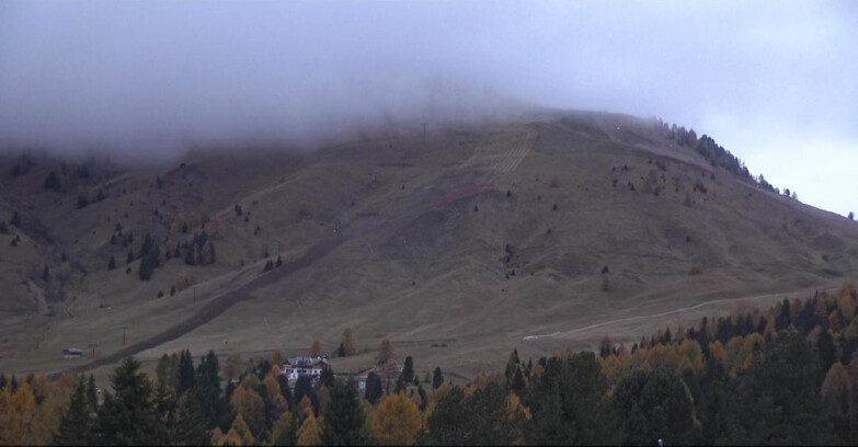 Webcam Bellamonte-Alpe Lusia  - Pista direttissima Le Cune