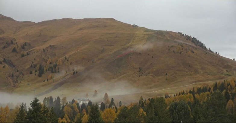 Webcam Bellamonte-Alpe Lusia  - Pista direttissima Le Cune