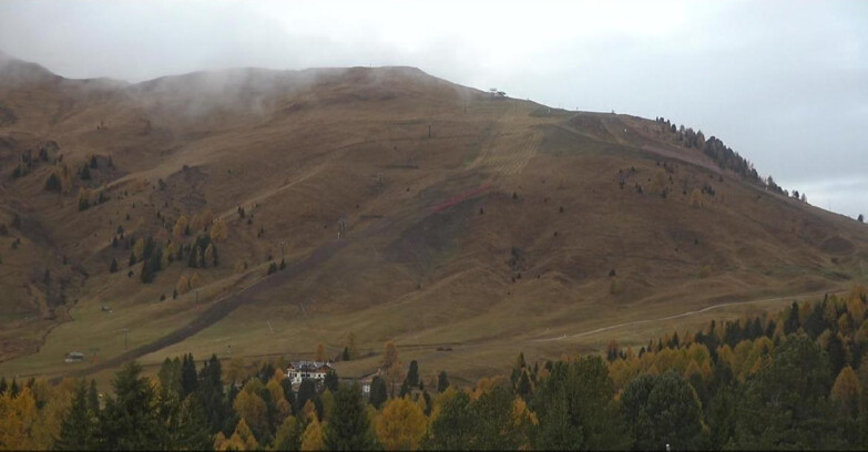 Webcam Bellamonte-Alpe Lusia  - Pista direttissima Le Cune