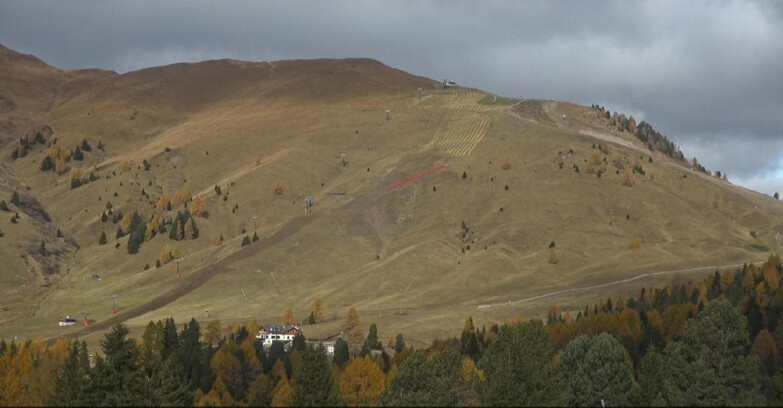 Webcam Bellamonte-Alpe Lusia - Pista direttissima Le Cune