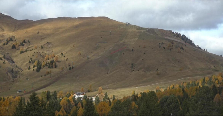 Webcam Bellamonte-Alpe Lusia - Pista direttissima Le Cune