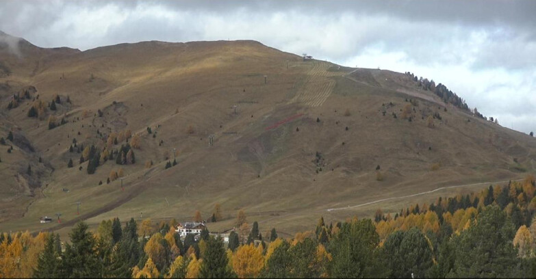 Webcam Bellamonte-Alpe Lusia - Pista direttissima Le Cune