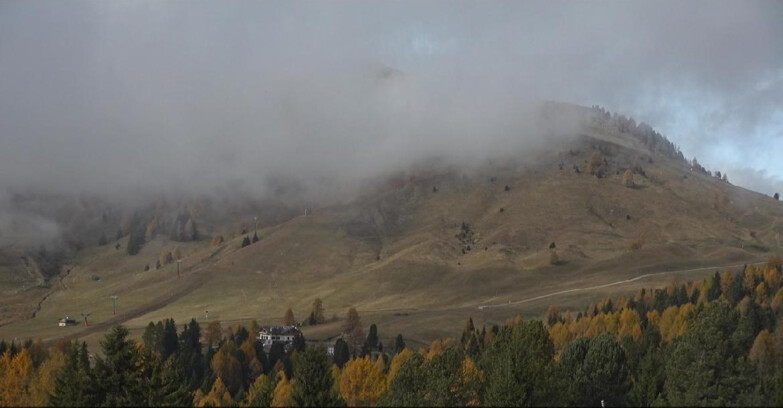 Webcam Bellamonte-Alpe Lusia - Pista direttissima Le Cune