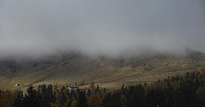 Webcam Bellamonte-Alpe Lusia - Pista direttissima Le Cune