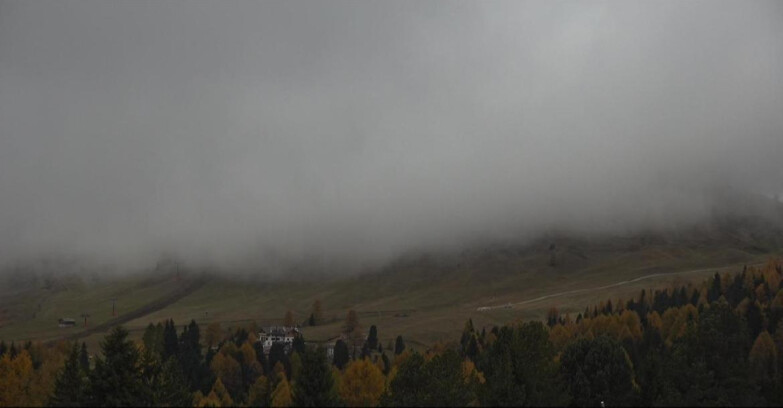 Webcam Bellamonte-Alpe Lusia - Pista direttissima Le Cune