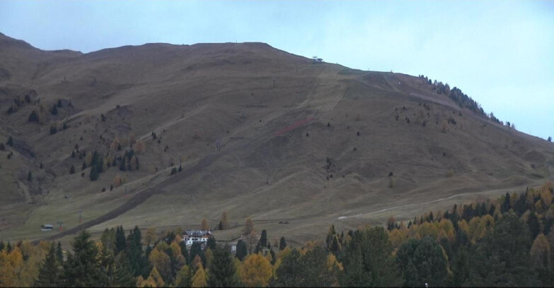Webcam Bellamonte-Alpe Lusia - Pista direttissima Le Cune