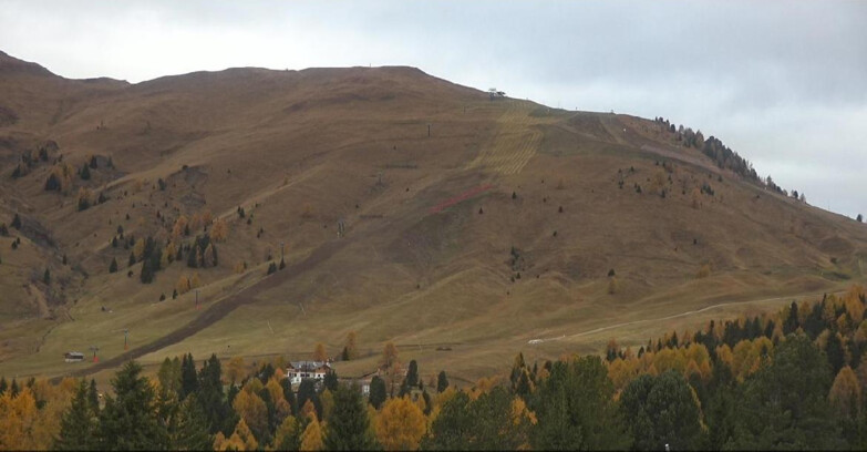 Webcam Bellamonte-Alpe Lusia - Pista direttissima Le Cune