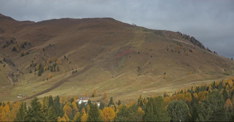 Webcam Bellamonte-Alpe Lusia - Pista direttissima Le Cune