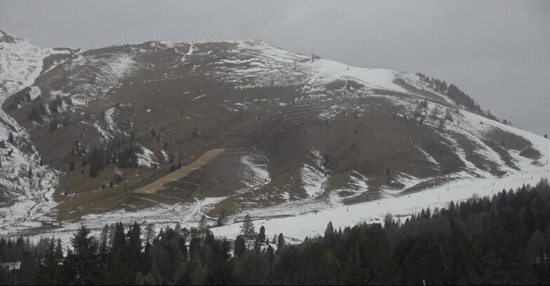 Webcam Белламонте-Альпе-Лусиа  - Pista direttissima Le Cune