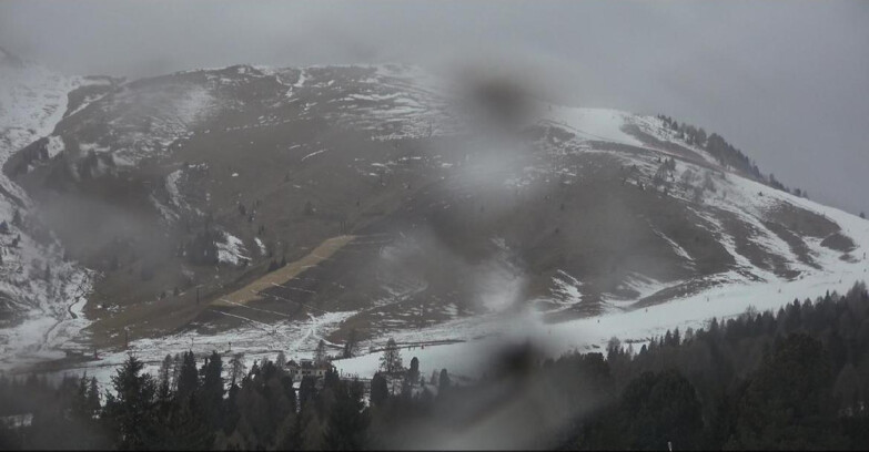 Webcam Белламонте-Альпе-Лусиа  - Pista direttissima Le Cune