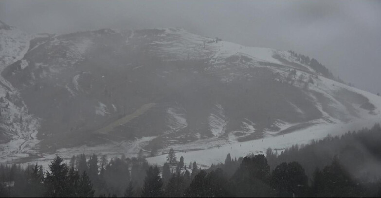 Webcam Белламонте-Альпе-Лусиа  - Pista direttissima Le Cune