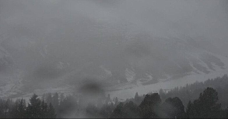 Webcam Белламонте-Альпе-Лусиа  - Pista direttissima Le Cune