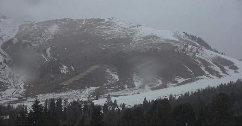 Webcam Белламонте-Альпе-Лусиа  - Pista direttissima Le Cune