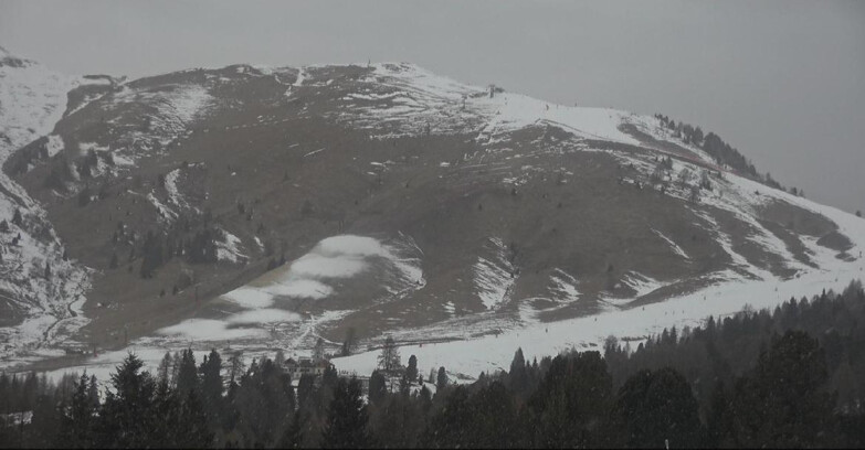 Webcam Bellamonte-Alpe Lusia - Pista direttissima Le Cune