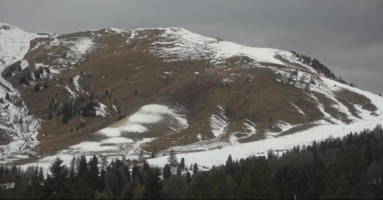 Webcam Bellamonte-Alpe Lusia - Pista direttissima Le Cune