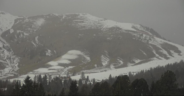 Webcam Bellamonte-Alpe Lusia - Pista direttissima Le Cune