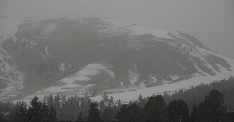 Webcam Bellamonte-Alpe Lusia - Pista direttissima Le Cune