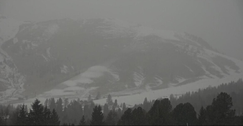 Webcam Bellamonte-Alpe Lusia - Pista direttissima Le Cune
