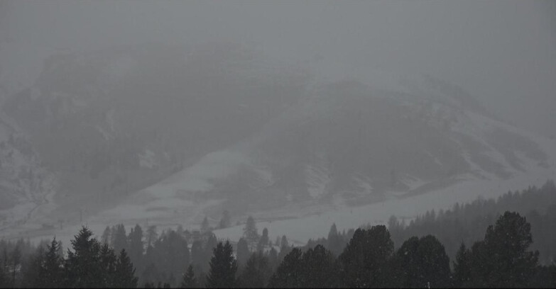 Webcam Bellamonte-Alpe Lusia - Pista direttissima Le Cune