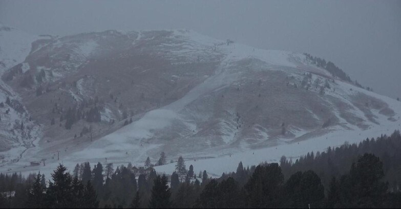 Webcam Bellamonte-Alpe Lusia - Pista direttissima Le Cune