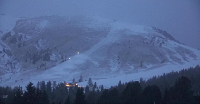Webcam Bellamonte-Alpe Lusia - Pista direttissima Le Cune