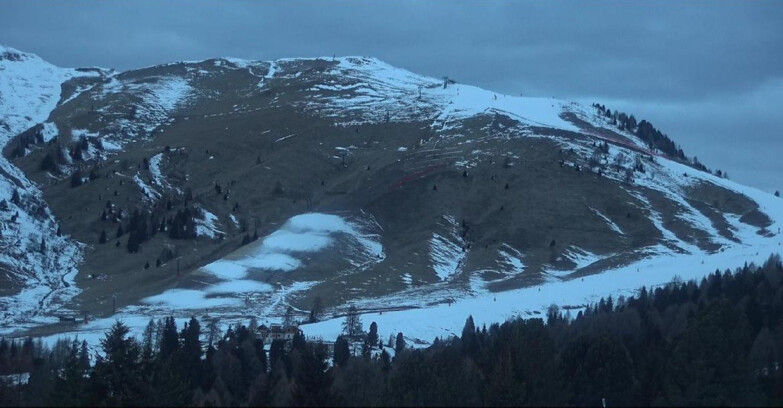 Webcam Bellamonte-Alpe Lusia - Pista direttissima Le Cune
