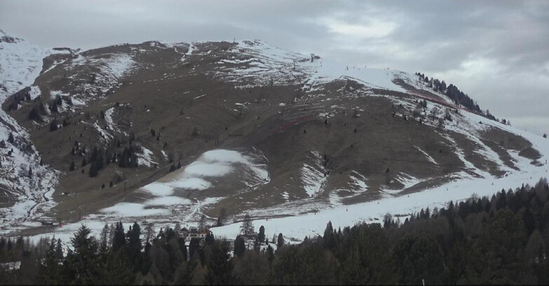 Webcam Bellamonte-Alpe Lusia - Pista direttissima Le Cune