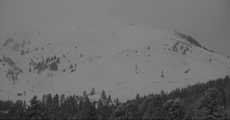 Webcam Bellamonte-Alpe Lusia - Pista direttissima Le Cune