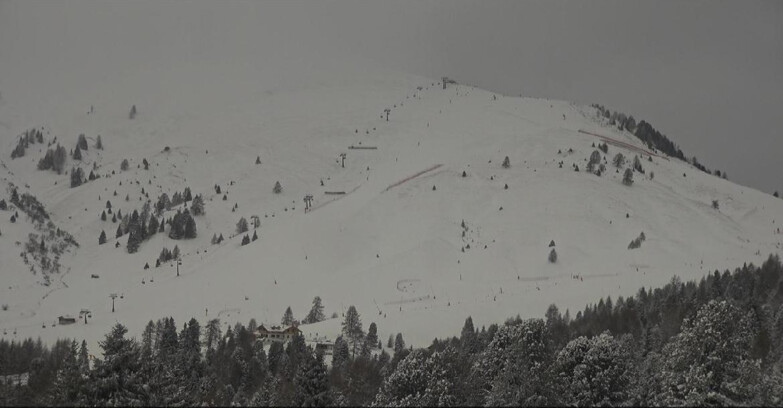 Webcam Bellamonte-Alpe Lusia - Pista direttissima Le Cune