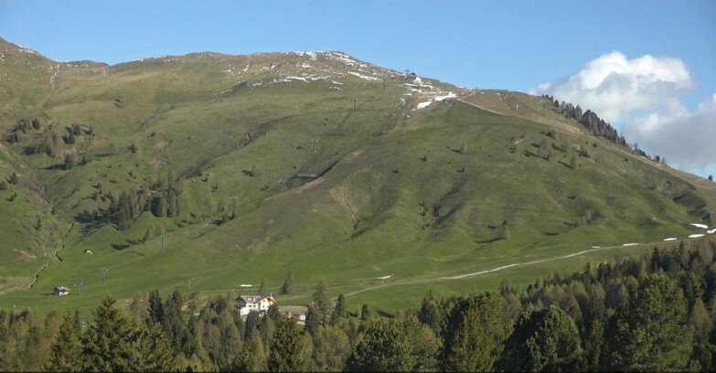 Webcam Bellamonte-Alpe Lusia  - Pista direttissima Le Cune