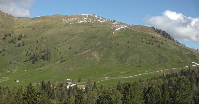 Webcam Bellamonte-Alpe Lusia  - Pista direttissima Le Cune
