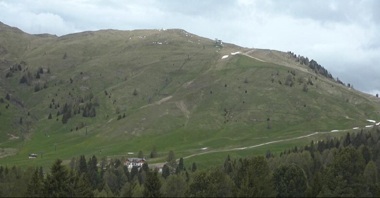 Webcam Bellamonte-Alpe Lusia  - Pista direttissima Le Cune