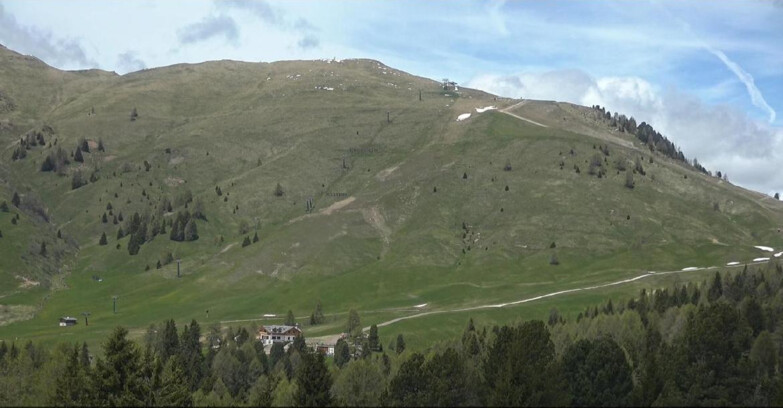 Webcam Bellamonte-Alpe Lusia  - Pista direttissima Le Cune