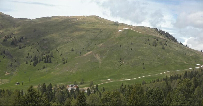Webcam Bellamonte-Alpe Lusia  - Pista direttissima Le Cune