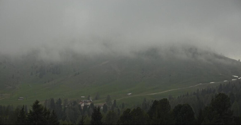 Webcam Bellamonte-Alpe Lusia  - Pista direttissima Le Cune