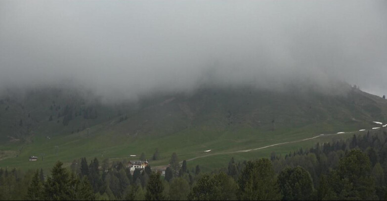 Webcam Bellamonte-Alpe Lusia  - Pista direttissima Le Cune