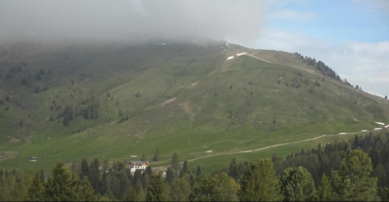 Webcam Bellamonte-Alpe Lusia  - Pista direttissima Le Cune